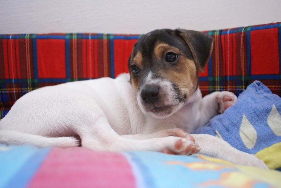 DSC08264.jpg