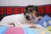 DSC08264.jpg